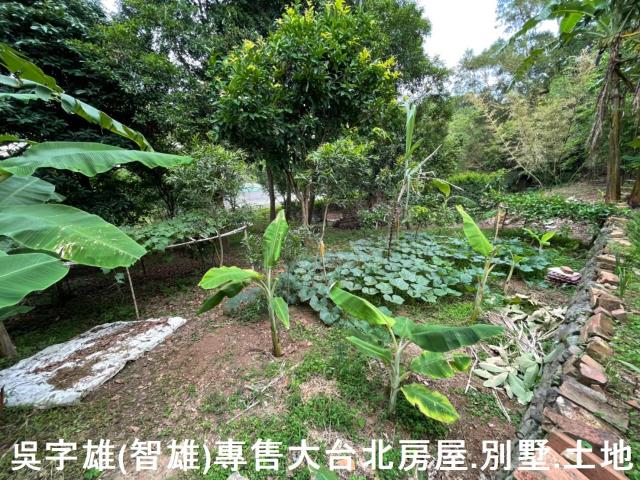 台北士林透天-13