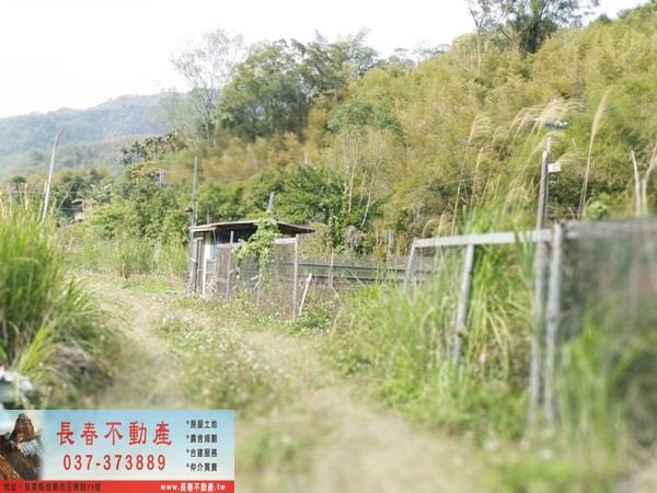 苗栗廠辦-3
