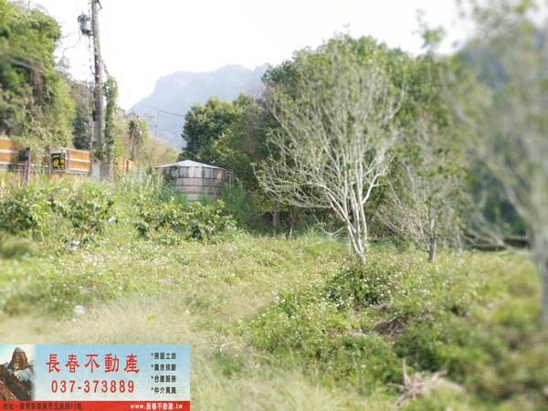 苗栗廠辦-5