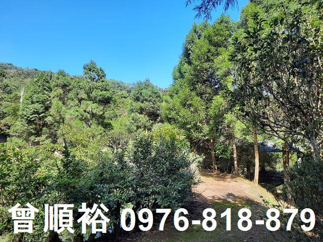 新竹農舍-11