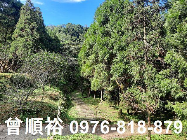 新竹農舍-15