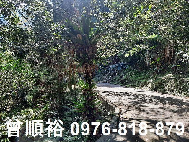 新竹農舍-1