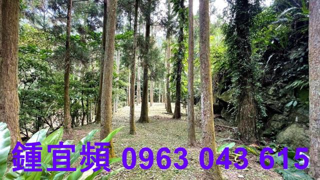 苗栗南庄透天-8