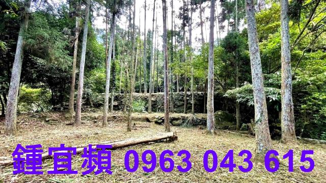 苗栗南庄透天-9