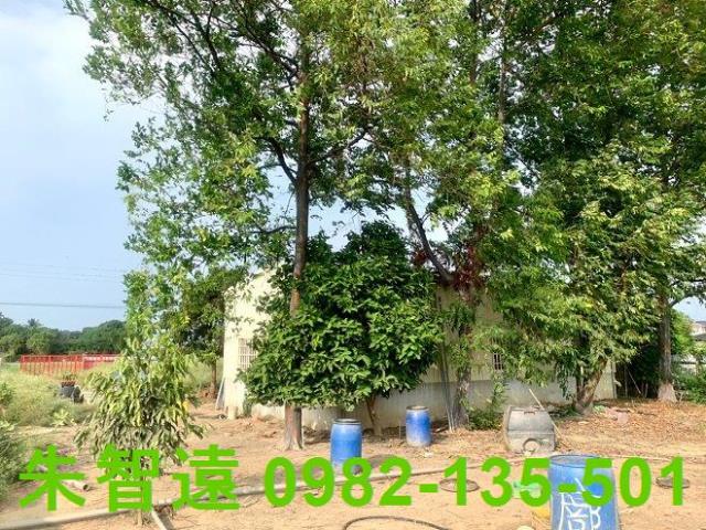 台南善化農作室-8