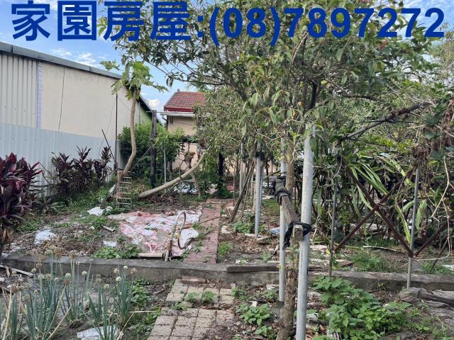 屏東萬丹農舍-4