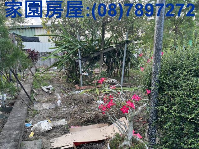 屏東萬丹農舍-5