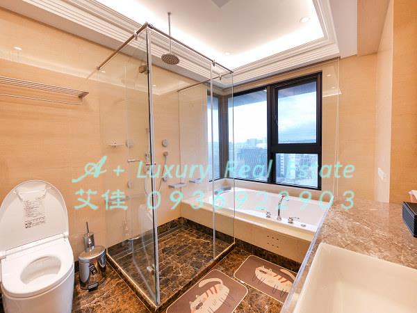 揚昇君臨