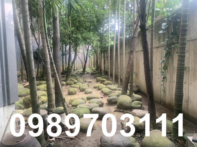 桃園廠房-3