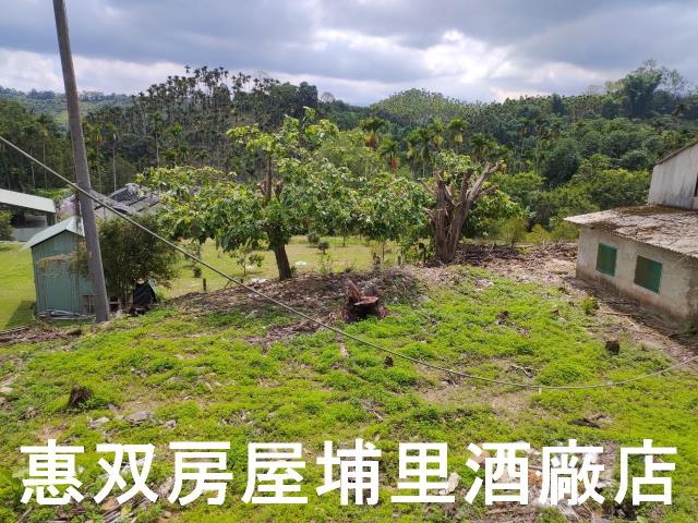 南投魚池農舍-9