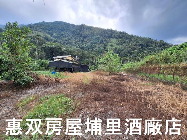 南投埔里農舍-8