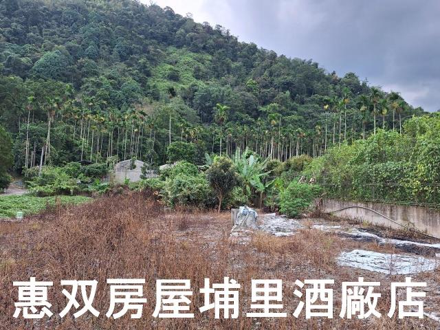 南投埔里農舍-10