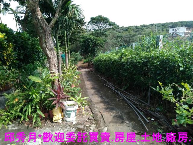 三芝農舍-3