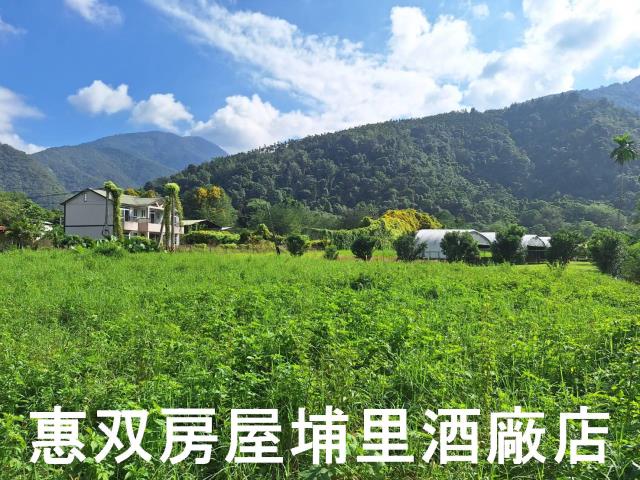 埔里透天-1