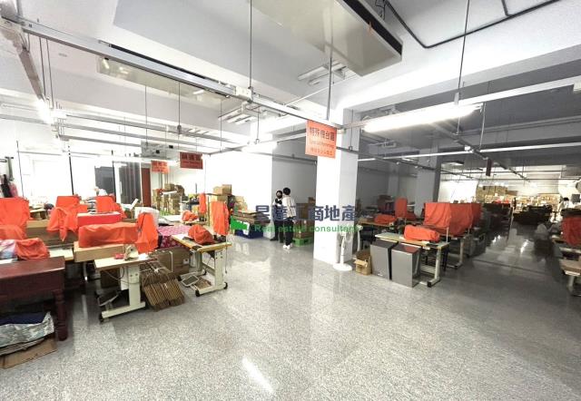 桃園大園廠房-3