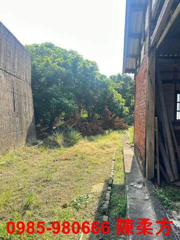 竹崎透天-3