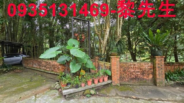 新竹關西三合院-5