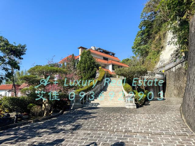 信義區上林苑電梯別墅