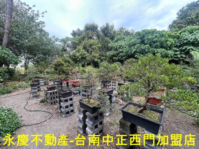 東區透天-13