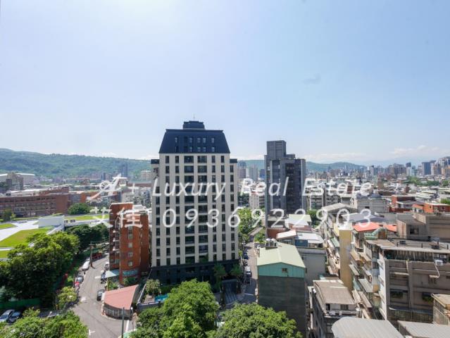 新美齊心岳