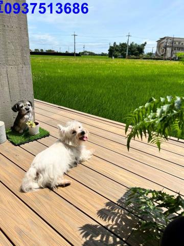 宜蘭壯圍華廈-13
