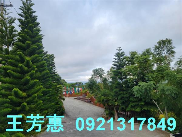 新社農舍-4