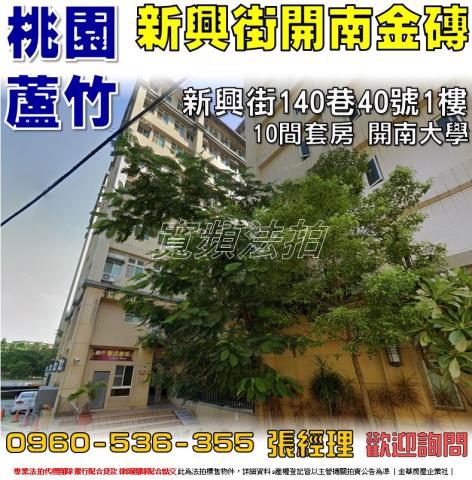 蘆竹法拍套房-1