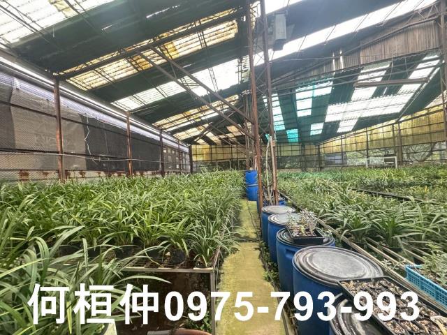 苗栗市廠房-3
