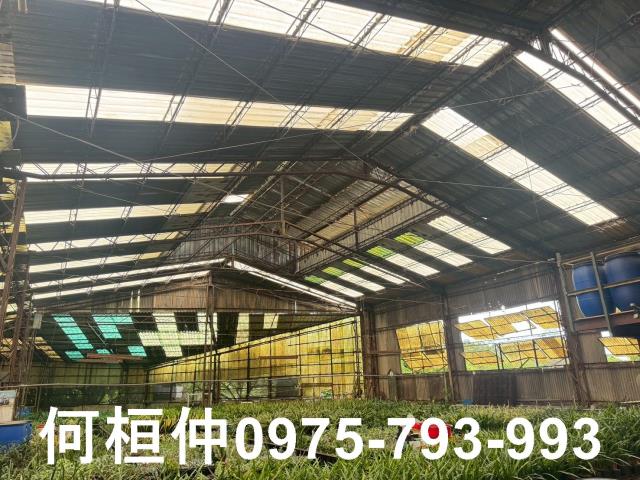 苗栗市廠房-7