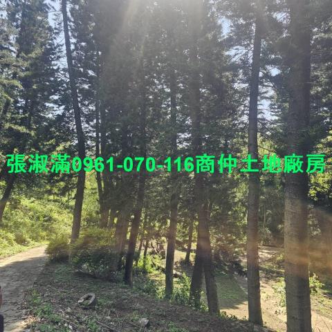 苗栗廠房-2
