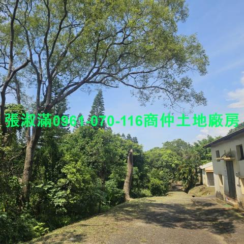 苗栗廠房-9