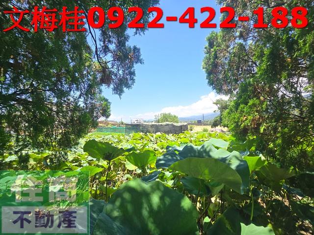 宜蘭頭城農舍-1