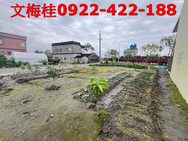 宜蘭礁溪農舍-1