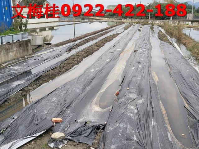宜蘭員山農舍-4