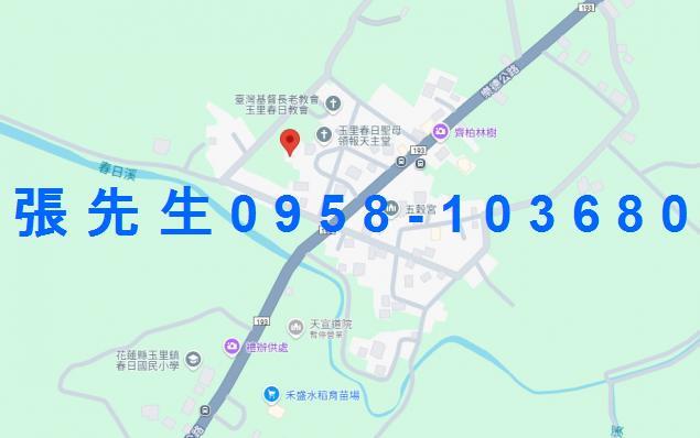 玉里法拍透天-2