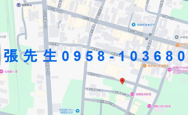 花蓮法拍透天-3