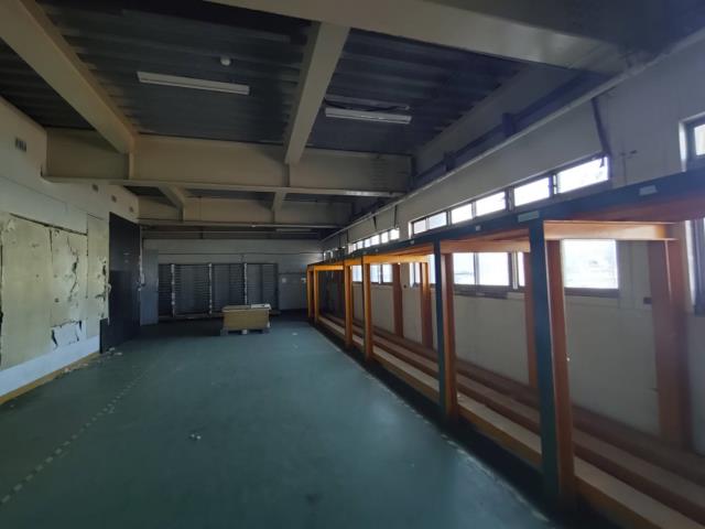 新北樹林廠房-2