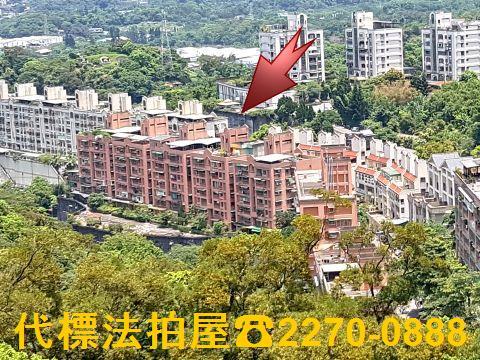 新北土城法拍華廈-1