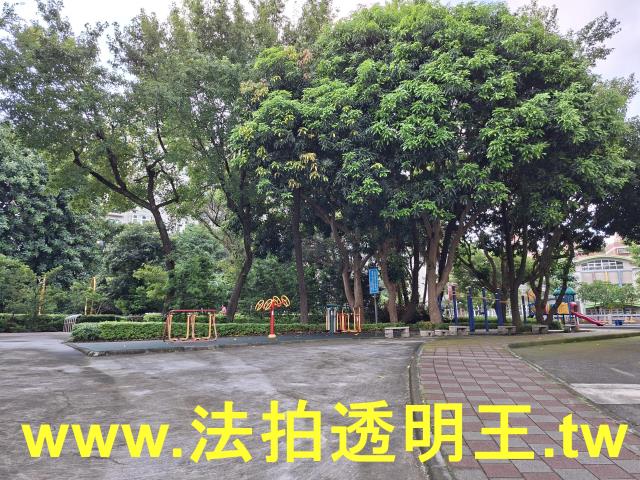 新北五股法拍大樓-4