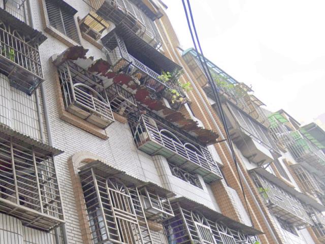 新北樹林法拍公寓-2