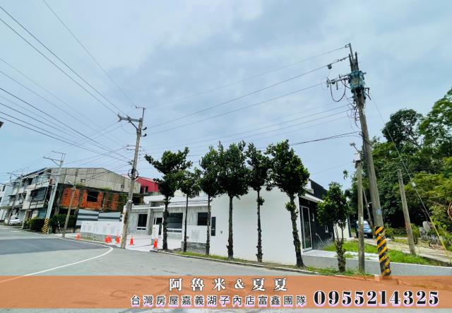 嘉義東區別墅-3