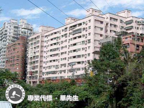 新北新店法拍華廈-2