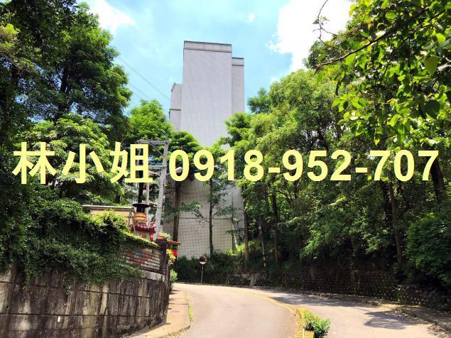 台中華廈法拍-2