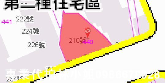 新北土城法拍華廈-6
