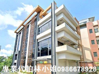 新北林口法拍華廈-4