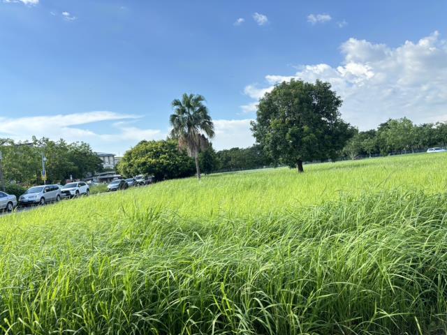 高雄岡山透天-3