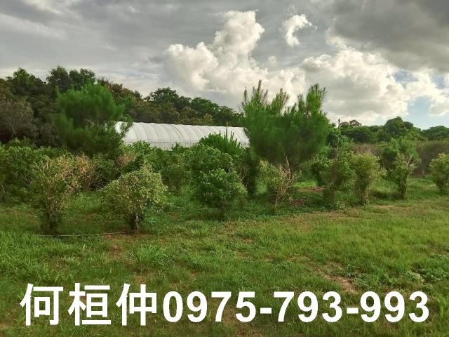 苗栗頭份農舍-3