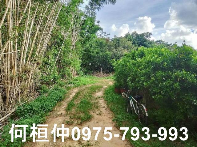 苗栗頭份農舍-7