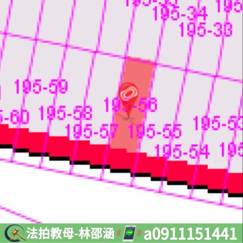 屏東佳冬法拍透天-8