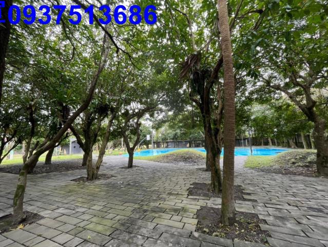 礁溪華廈-14